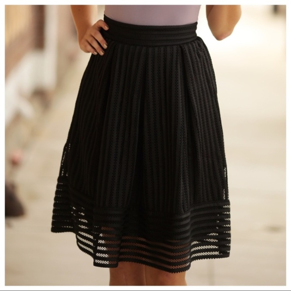 ❤️ Black Mesh Circle Skirt - Picture 3 of 5